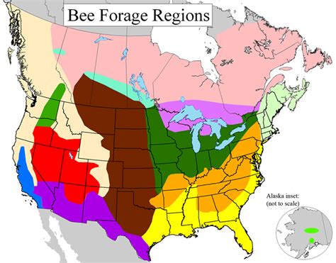 Honey Bee Forage Map Information .